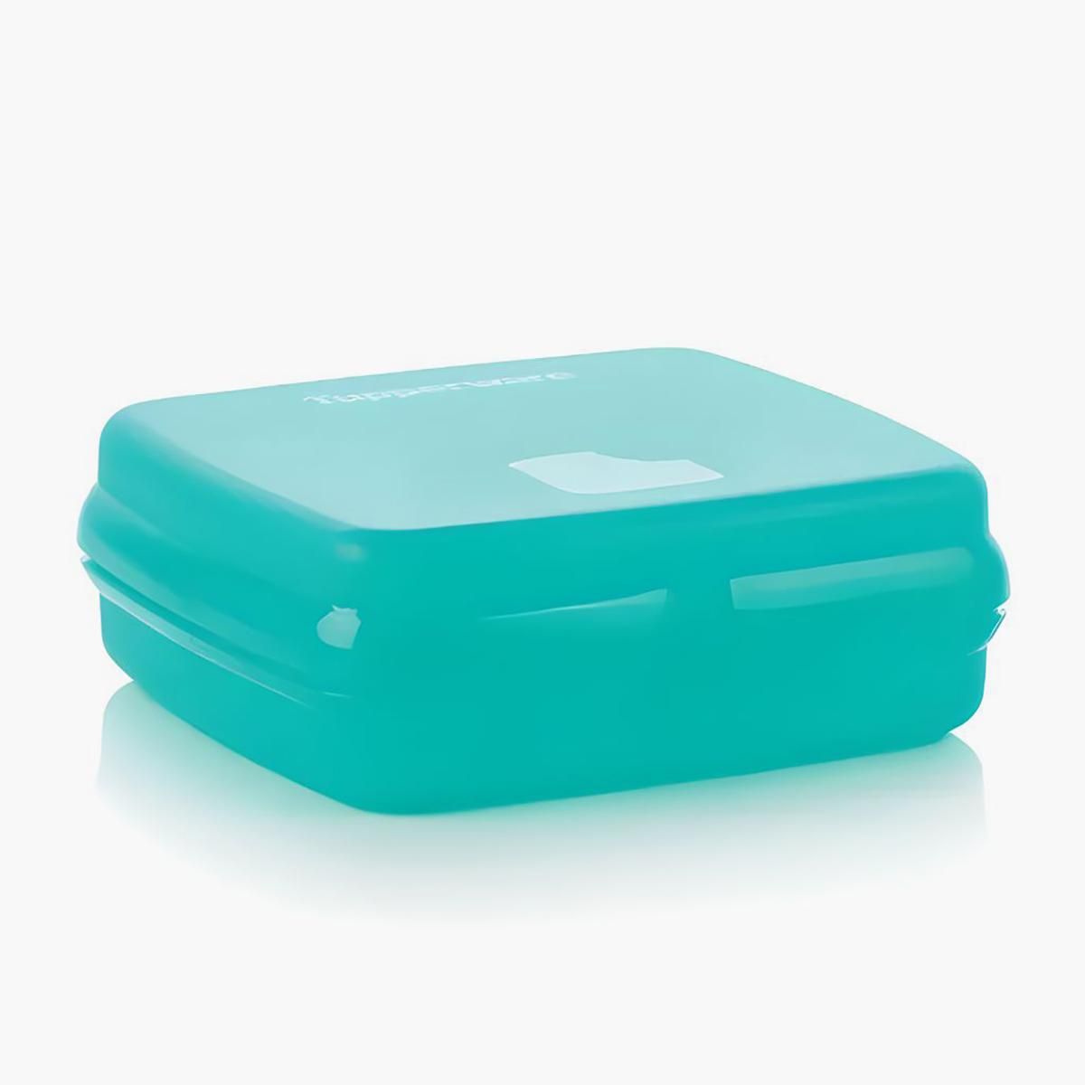 Tupperware Eco Sandwich Keeper Square, Reusable Lunch Box With Snap Closure
