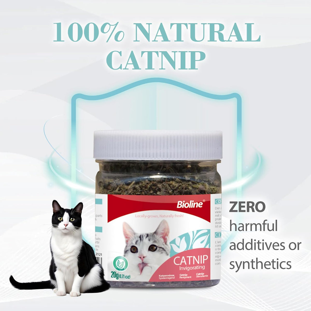 Bioline Invigorating Catnip Leaves Powder, 230ml, Weight 20gm