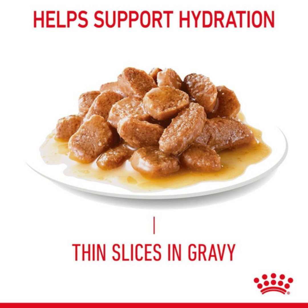 Royal Canin Feline Care Nutrition Hair & Skin Gravy Cat Wet Food Pouches, 12x85gm