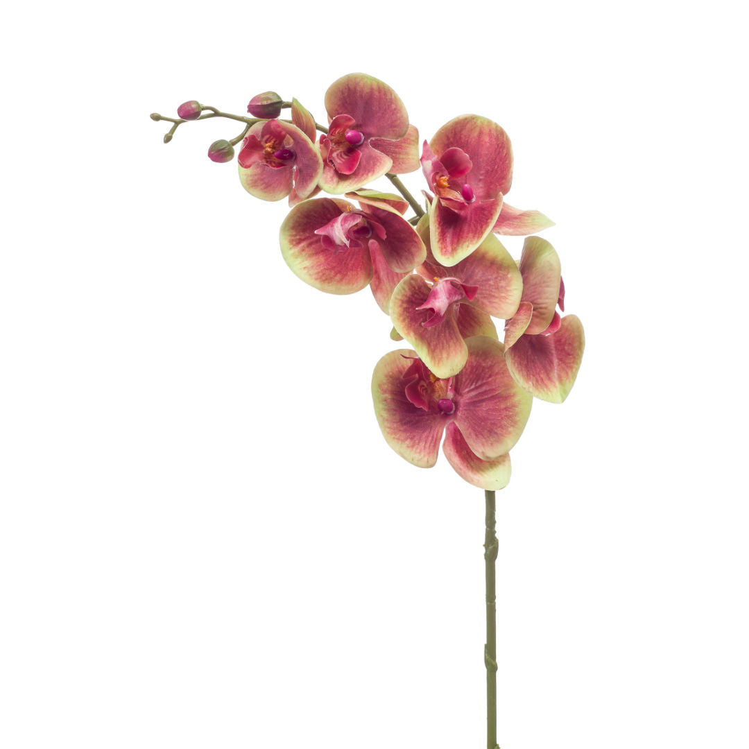 Phalaenopsis Spray Artificial Orchid Floral Arrangement