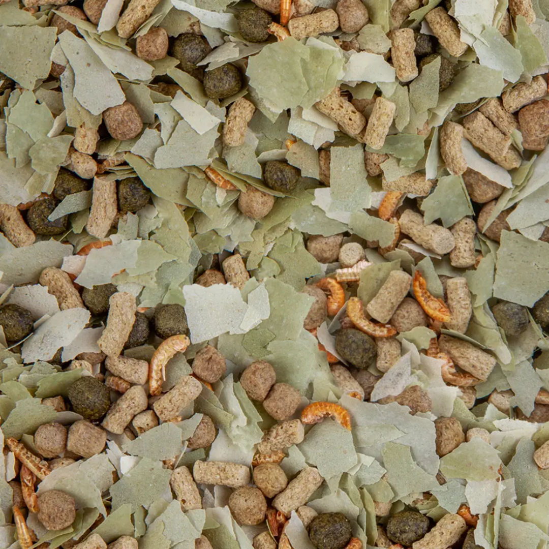Sera Pond Mix Royal Nature Diverse Food for Pond Fish