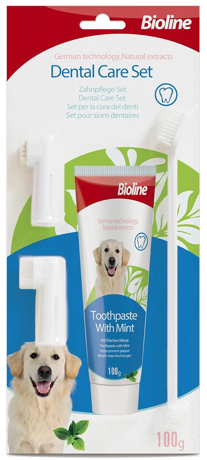 Bioline Dental Care Set, Weight 100gm, Flavor Mint