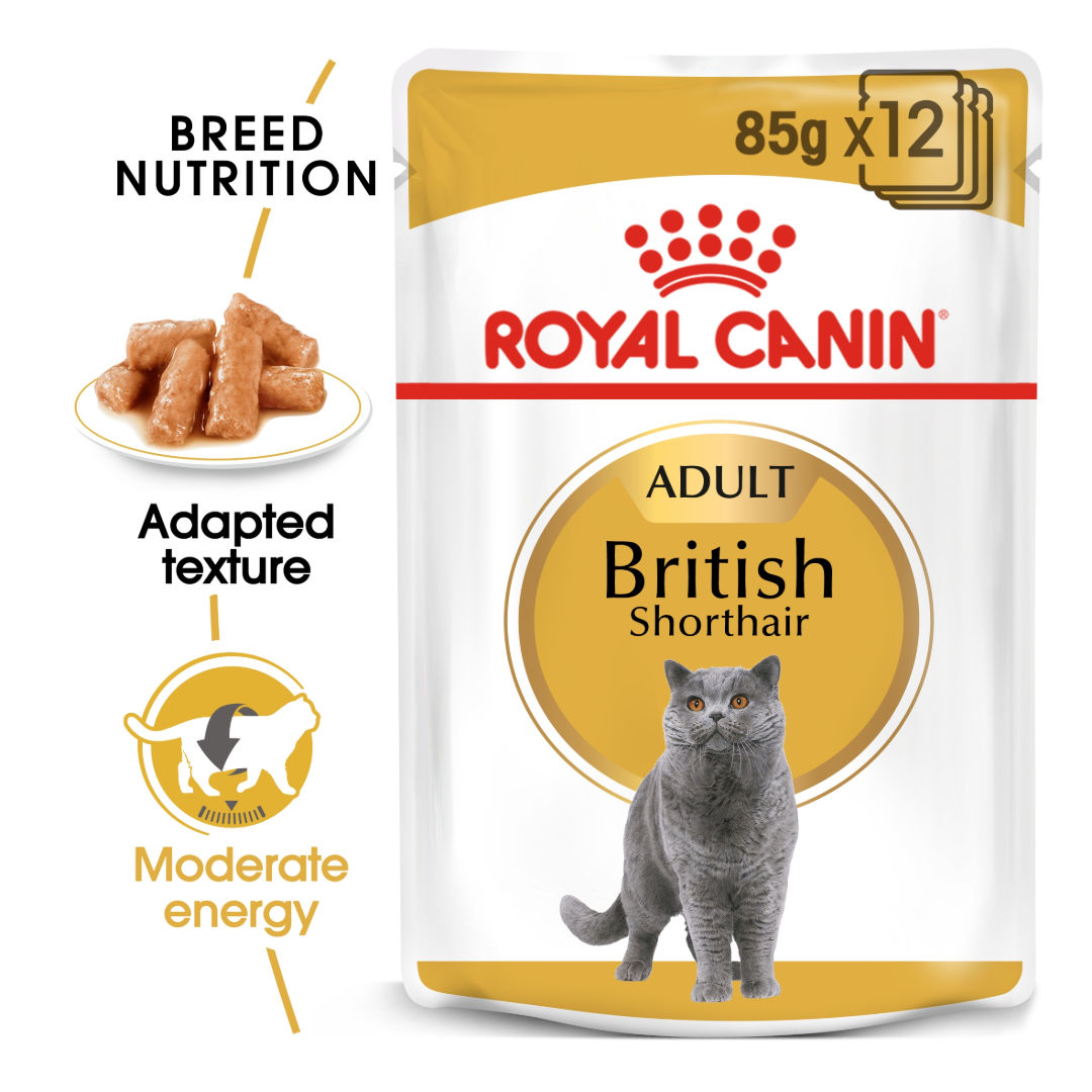 Royal Canin Feline Breed Nutrition British Shorthair Wet Food Pouches, 12x85gm