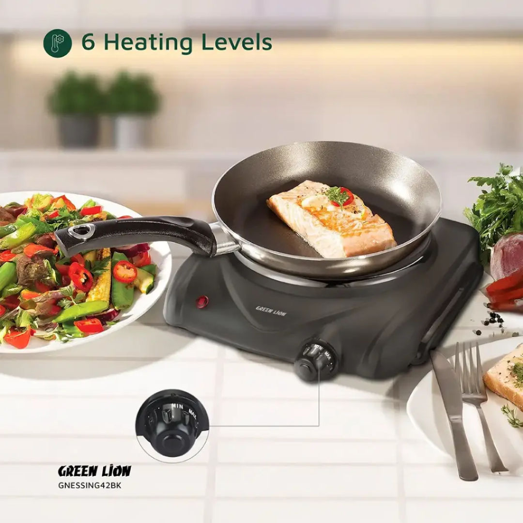 Green Lion Electric Stove, Black