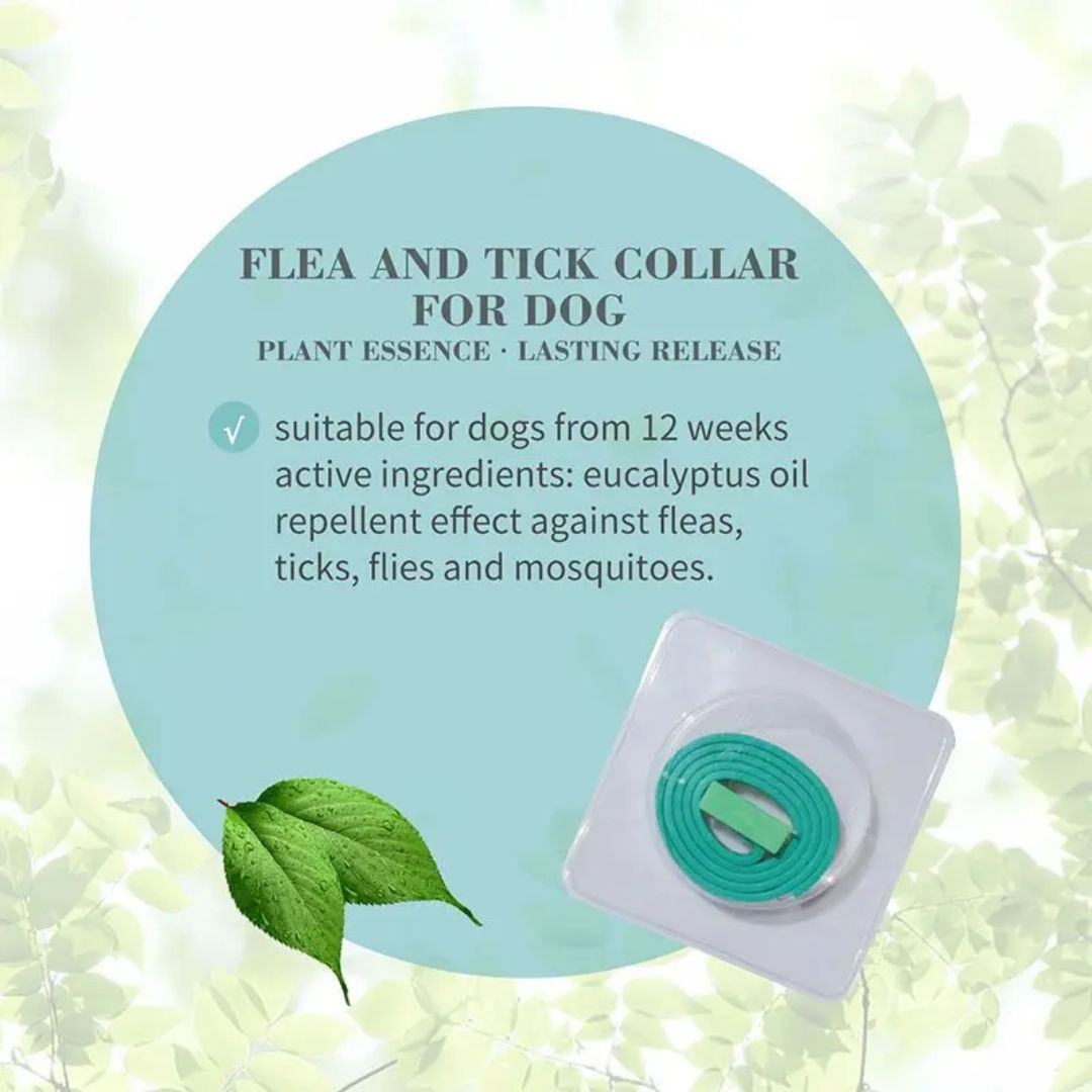 Bioline Flea and Tick Collar for Dogs, 60cm, Weight 34gm