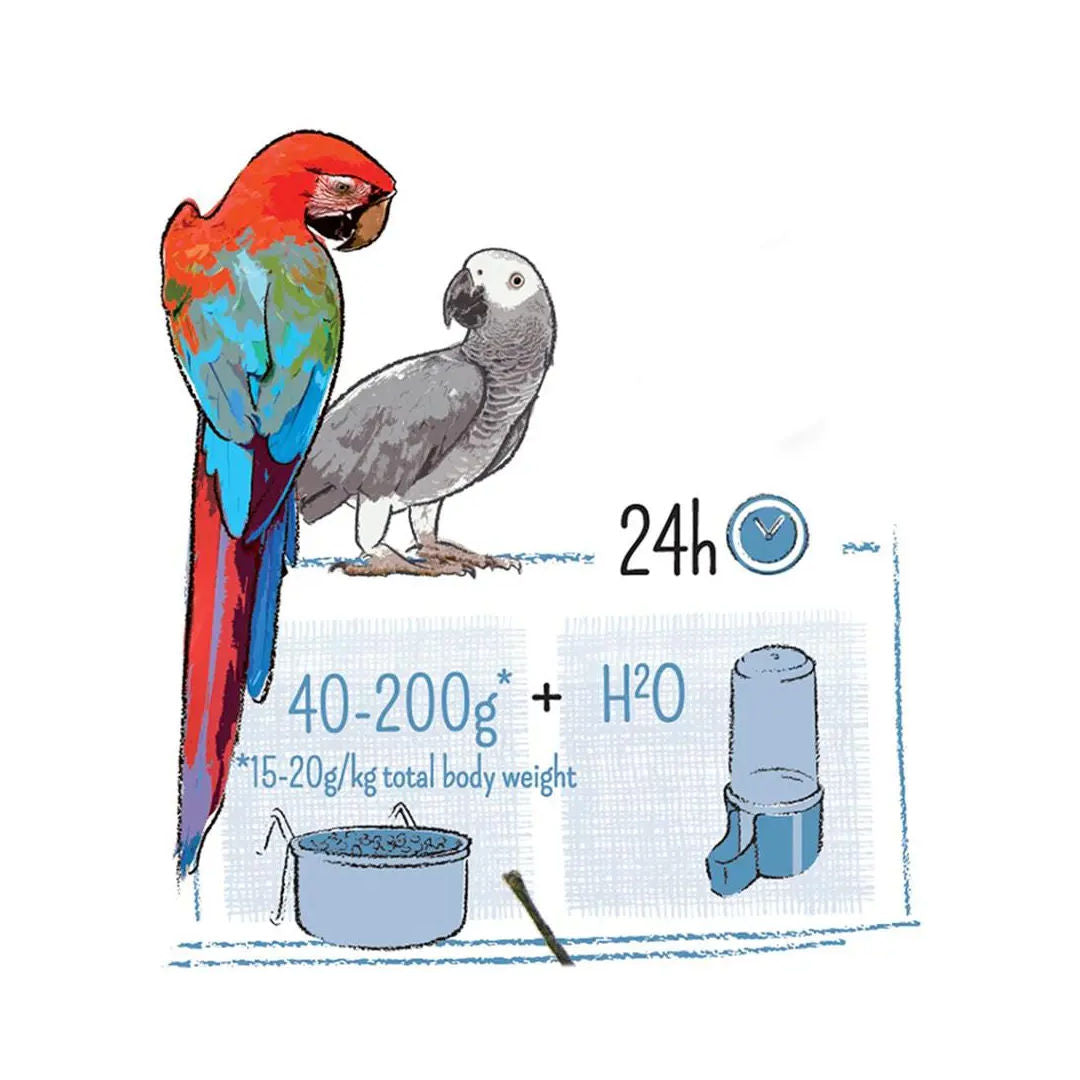 Witte Molen Puur Parrot, Weight 2Kg