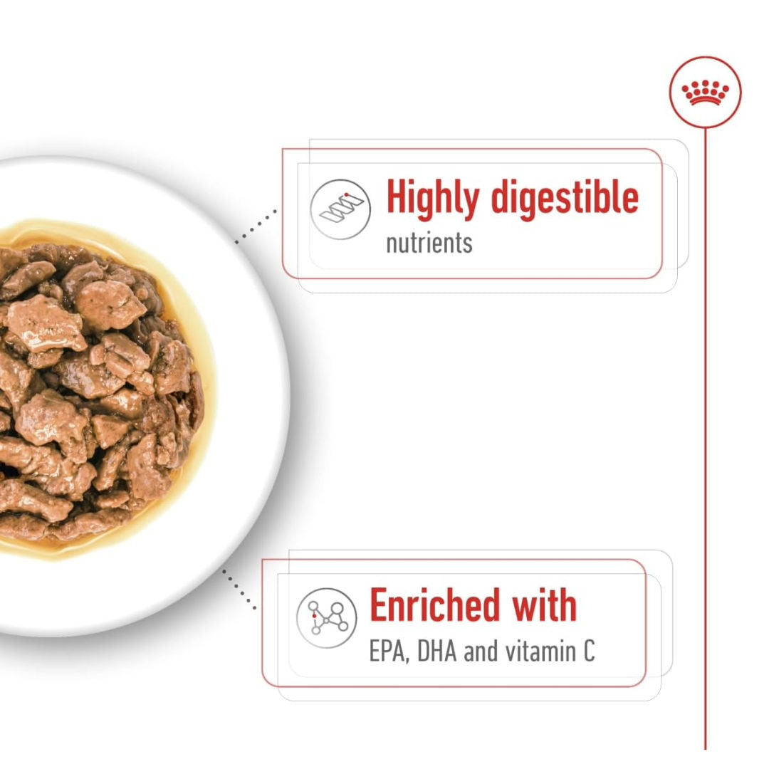 Royal Canin Size Health Nutrition XS Adult Wet Dog Food in Gravy, 85gm, Pack of 12
