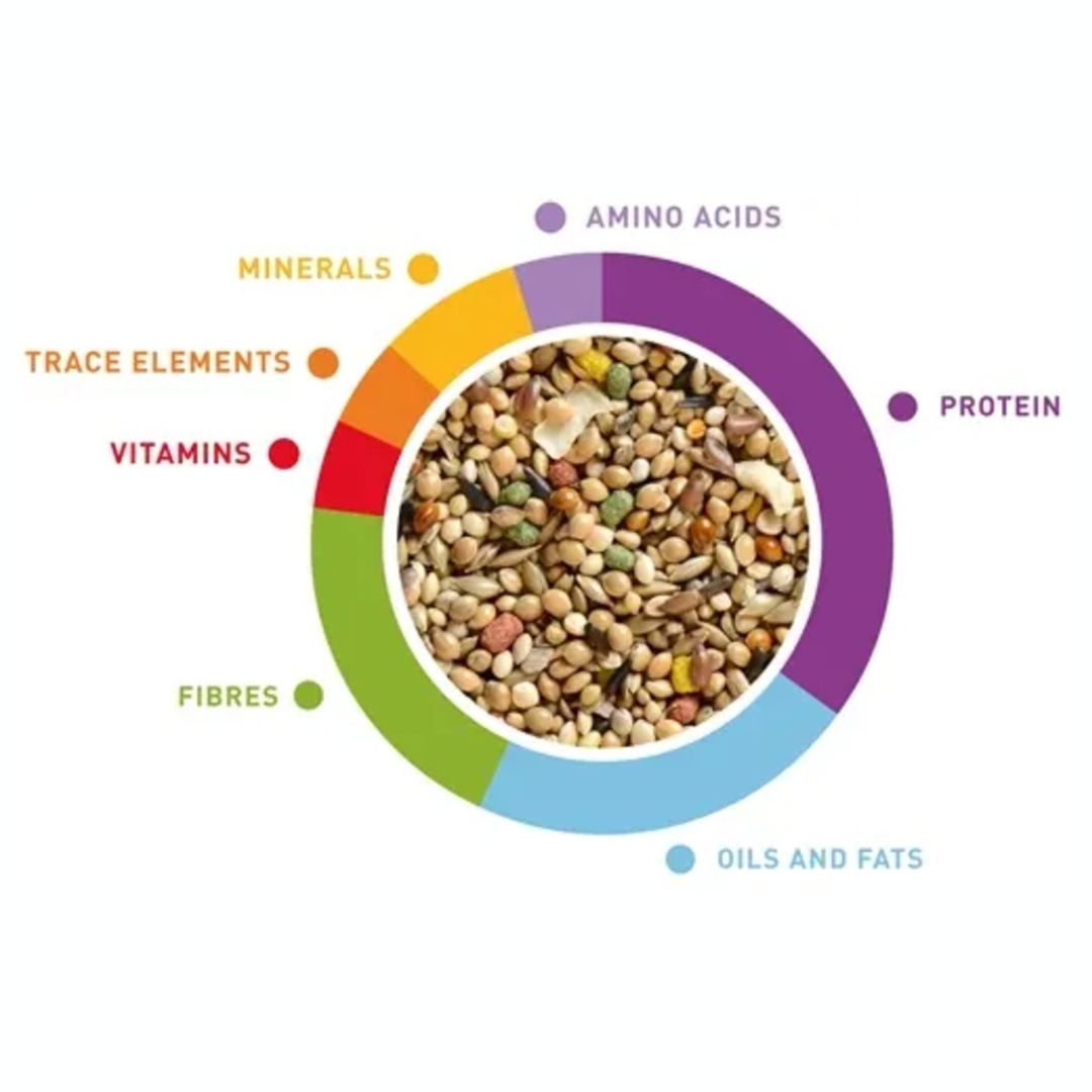 Padovan Bird Wellness Tropical Finches Food Daily Mix, 1kg
