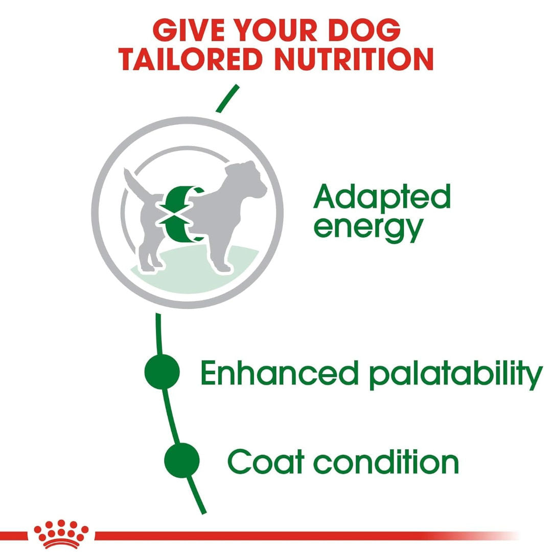 Royal Canin Size Health Nutrition Mini Adult Dry Dog Food