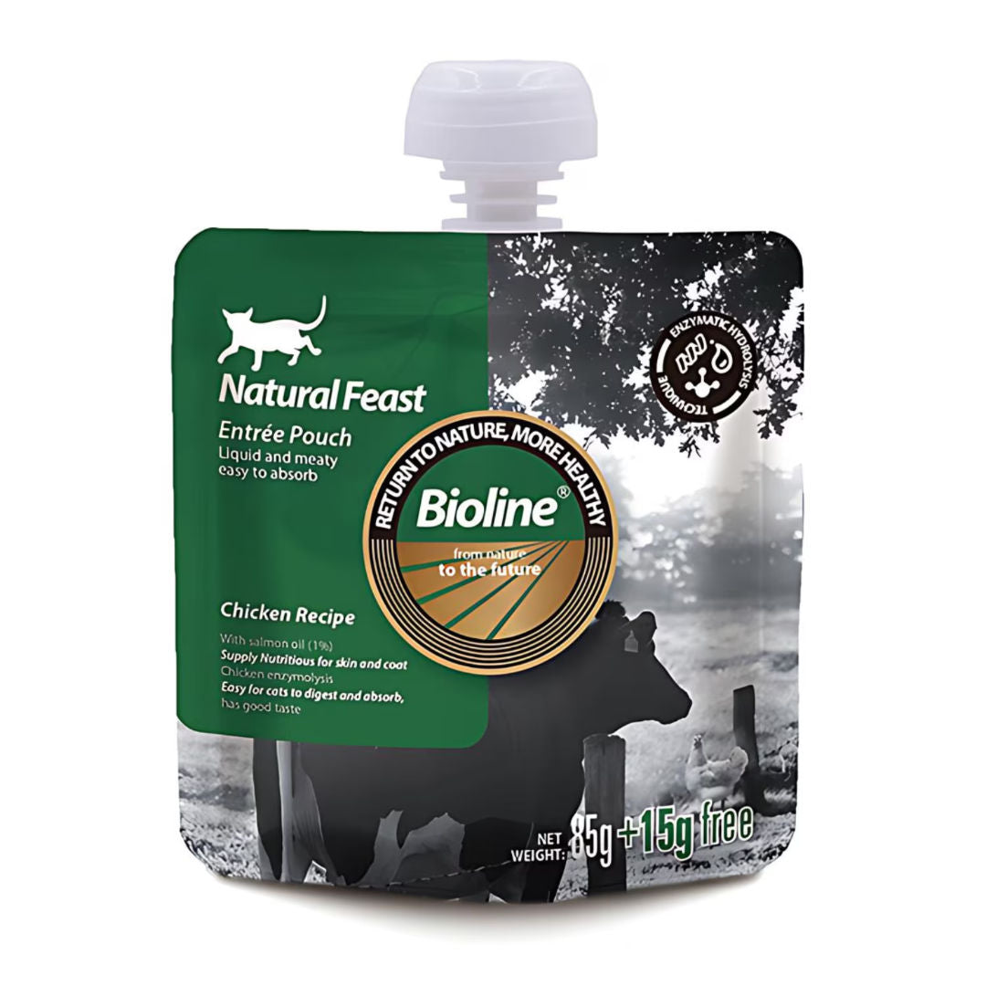 Bioline Natural Feast Entree Pouch, 85gm, Pack Of 2, For Age 3+ Months