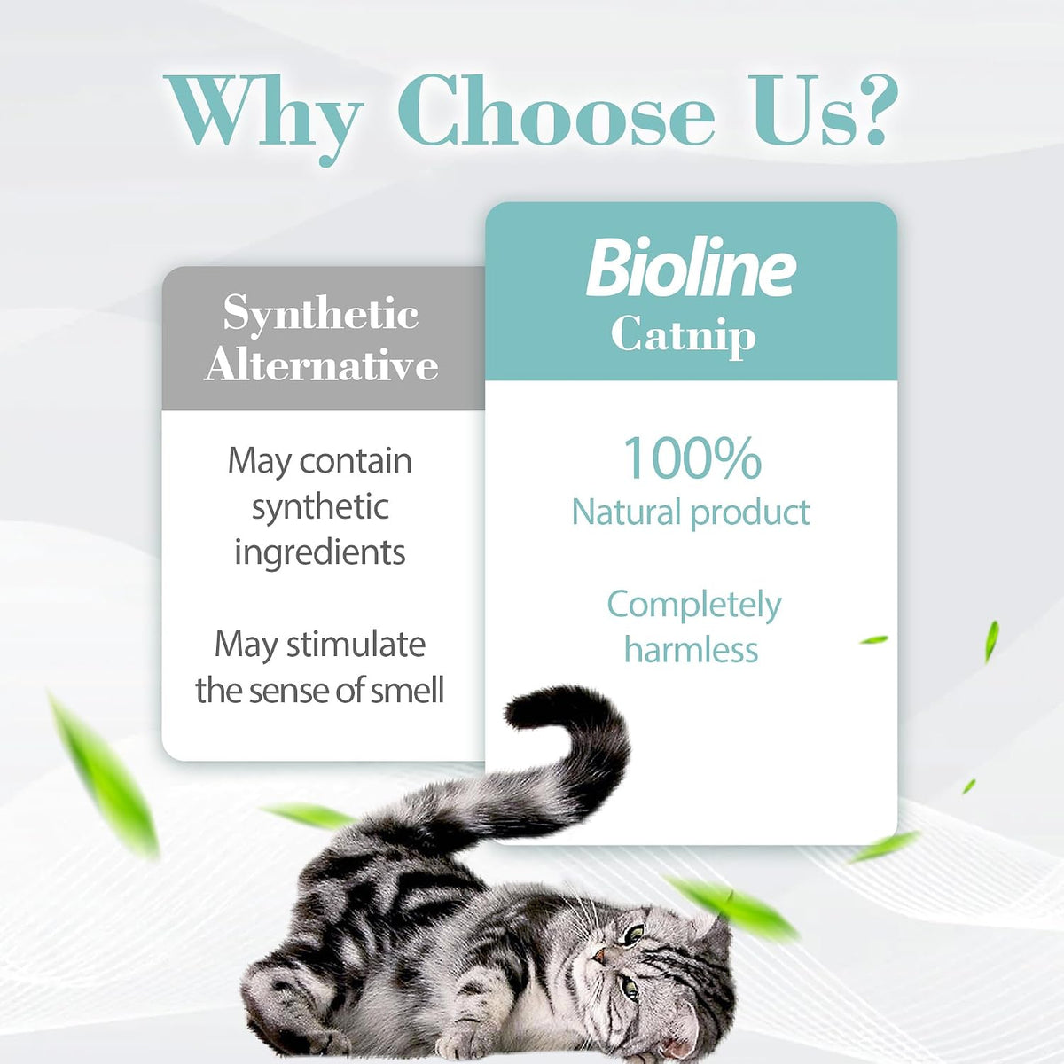 Bioline Invigorating Catnip Leaves Powder, 230ml, Weight 20gm