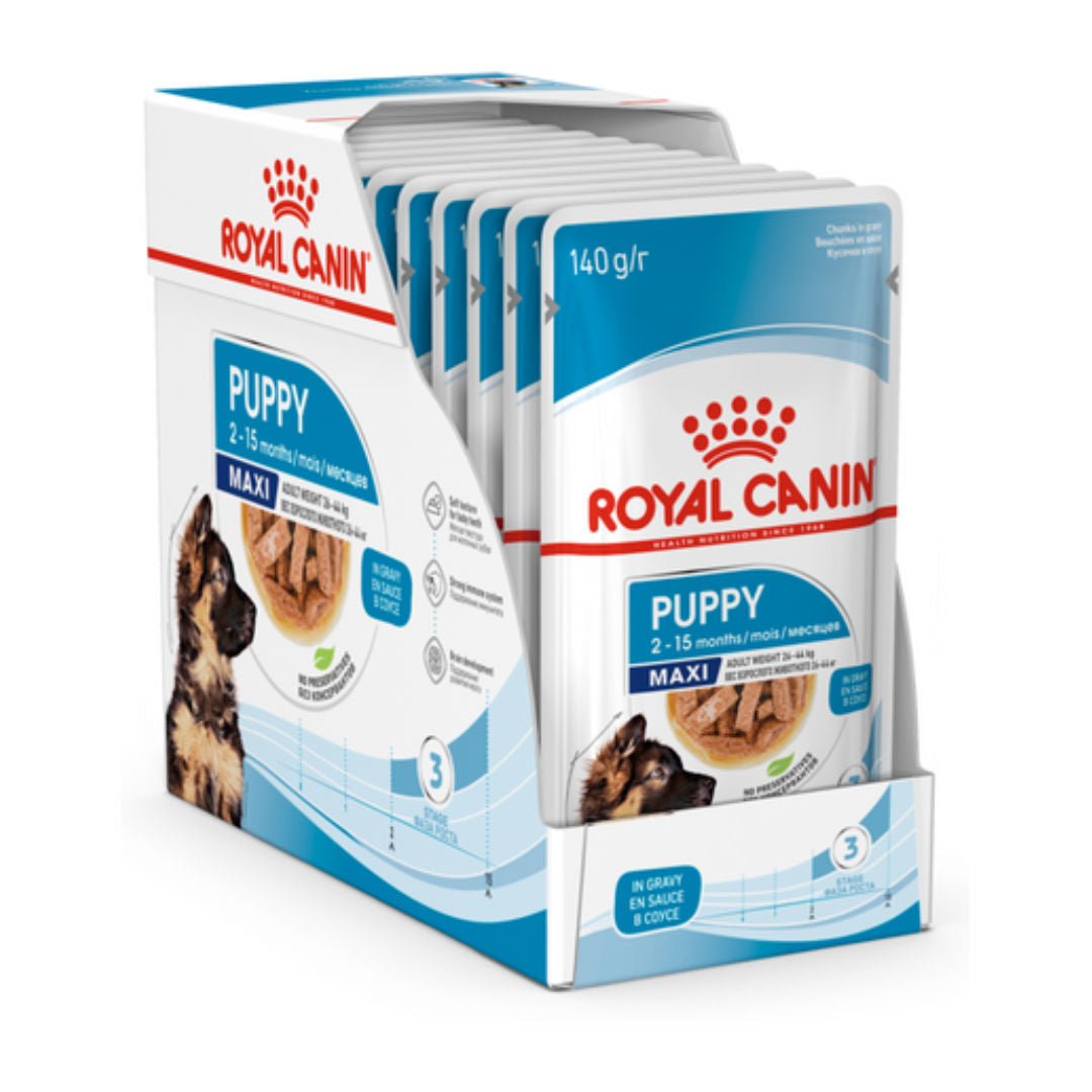 Royal Canin Maxi Puppy Wet Dog Food in Gravy, 140gm, Pack of 10