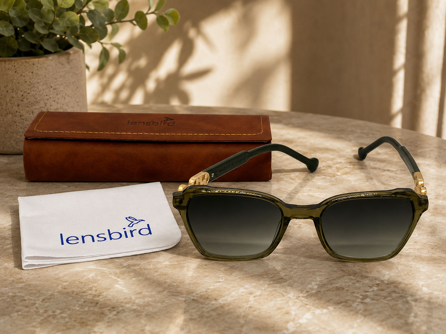 Lensbird Female Sunglass, 17338C4
