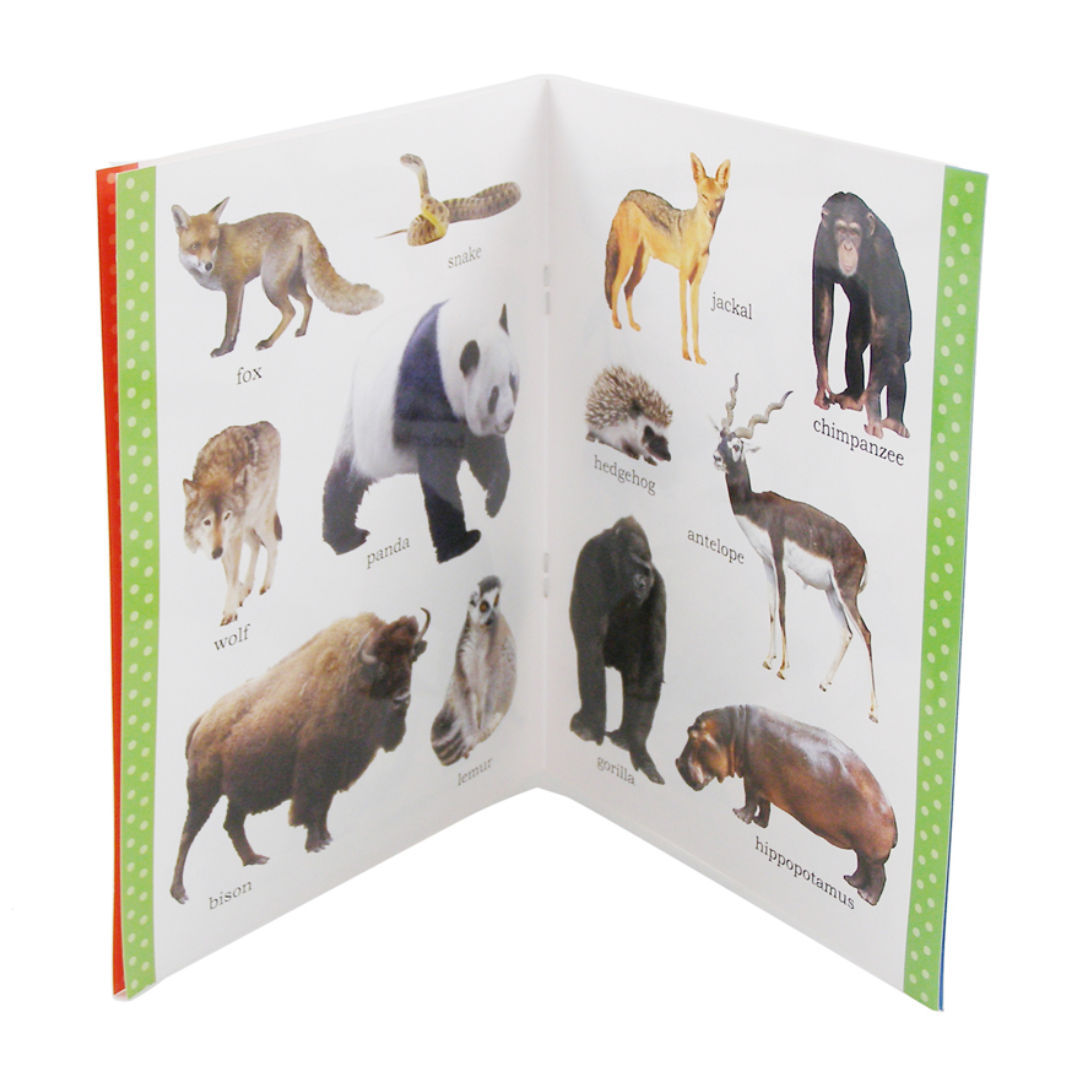 Wonder House My First Picture Book, Assorted
