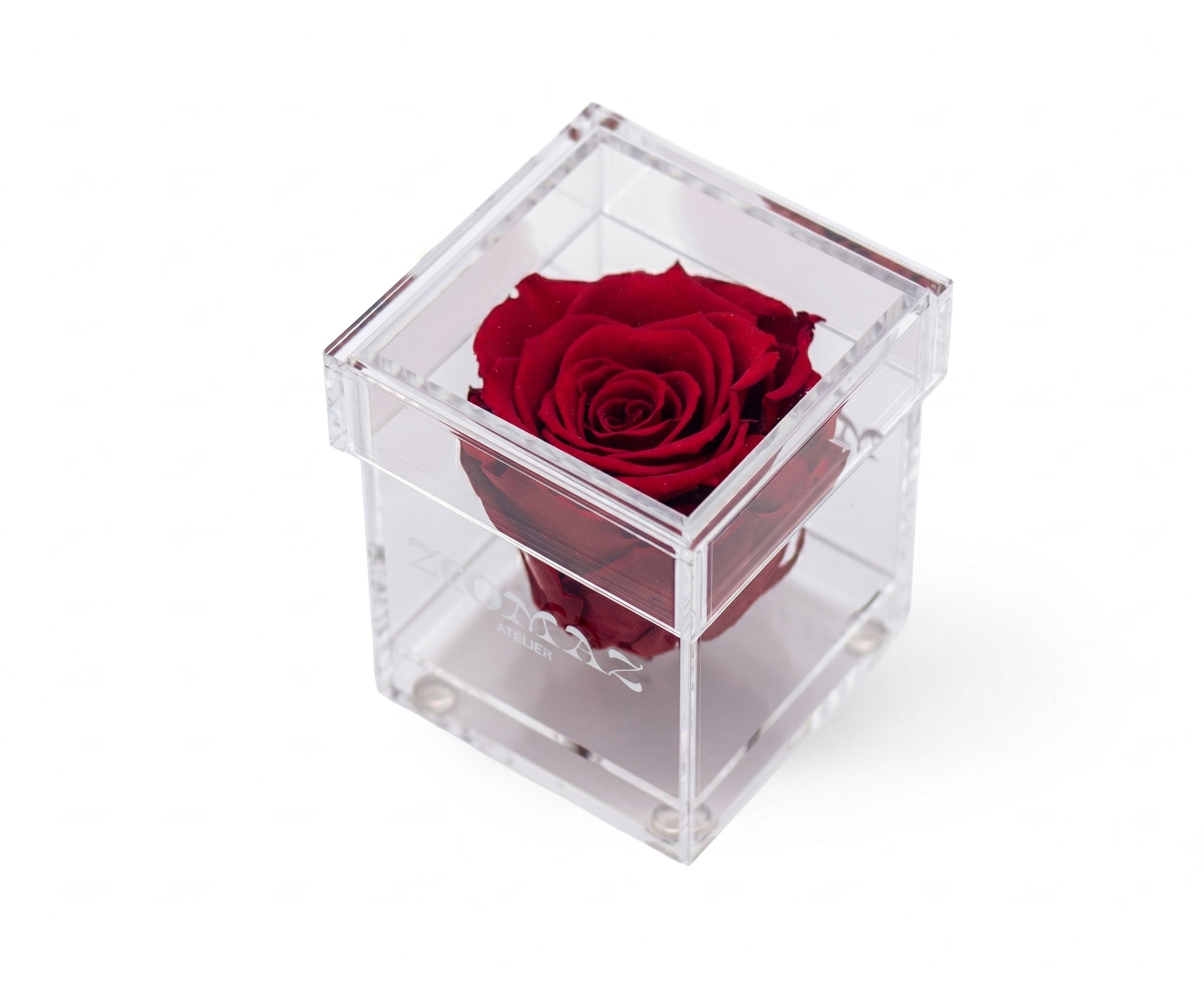 Long Life Single Rose-Red