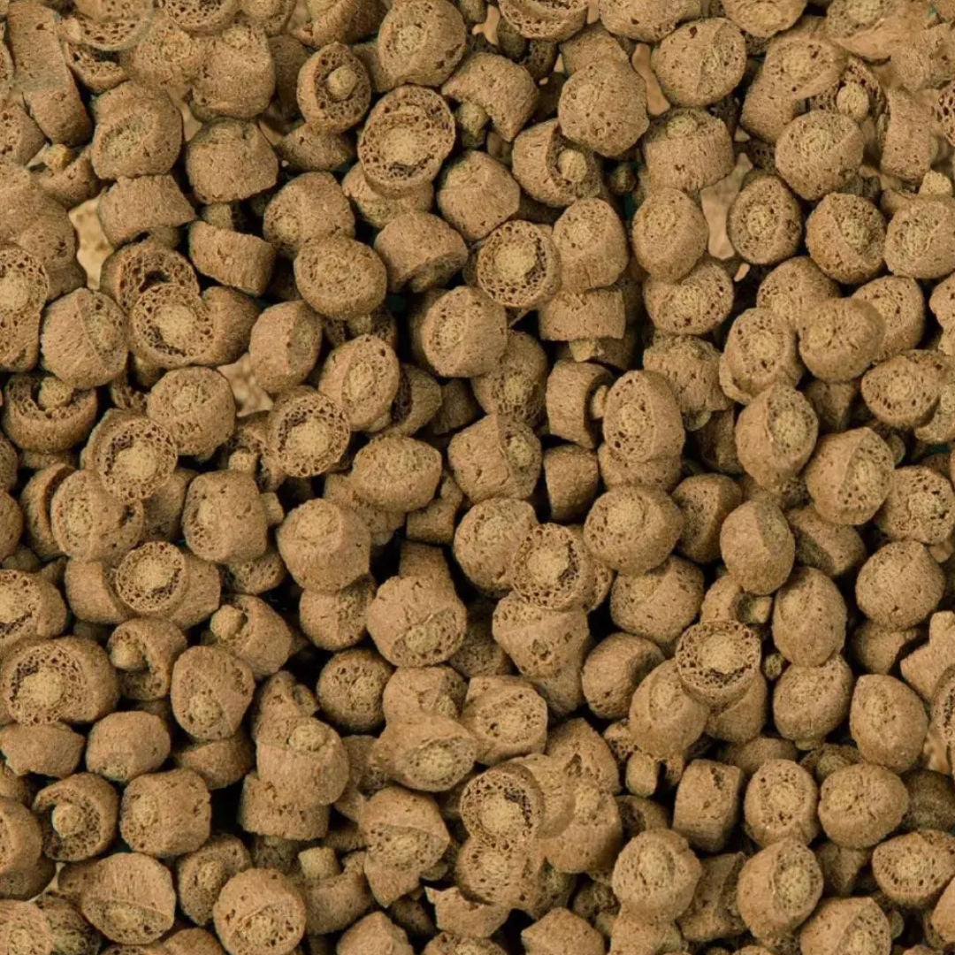 Sera Reptile Professional Food for Carnivorous Reptiles