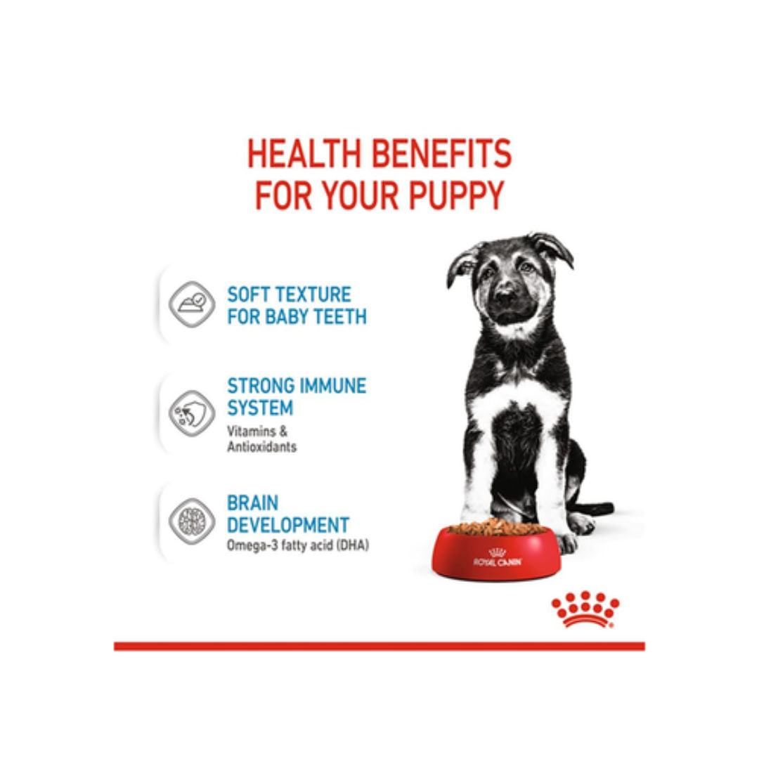 Royal Canin Maxi Puppy Wet Dog Food in Gravy, 140gm, Pack of 10