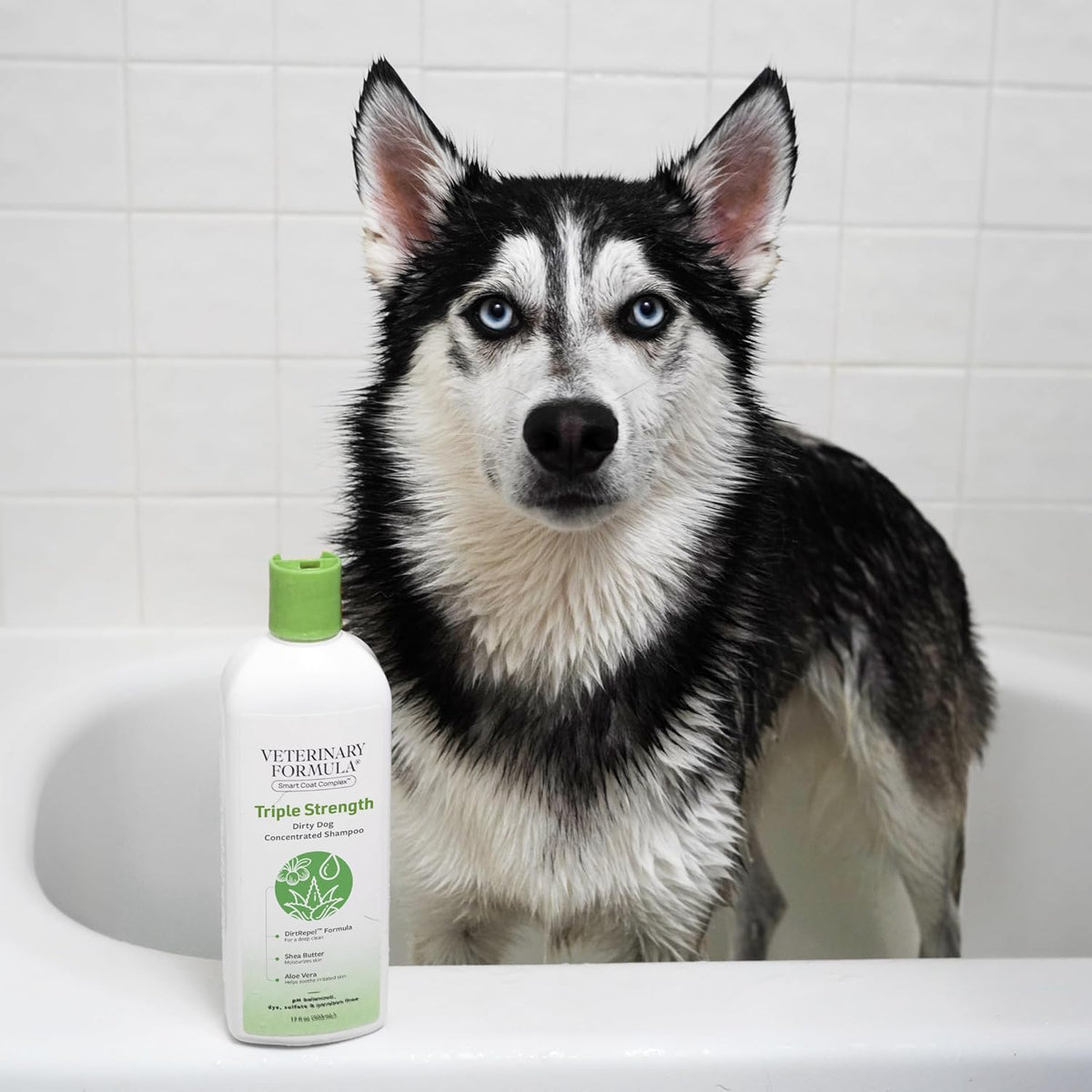 Synergy Labs Veterinary Formula Solutions Triple Strength Dirty Dog Concentrated Shampoo, 17oz, 503ml