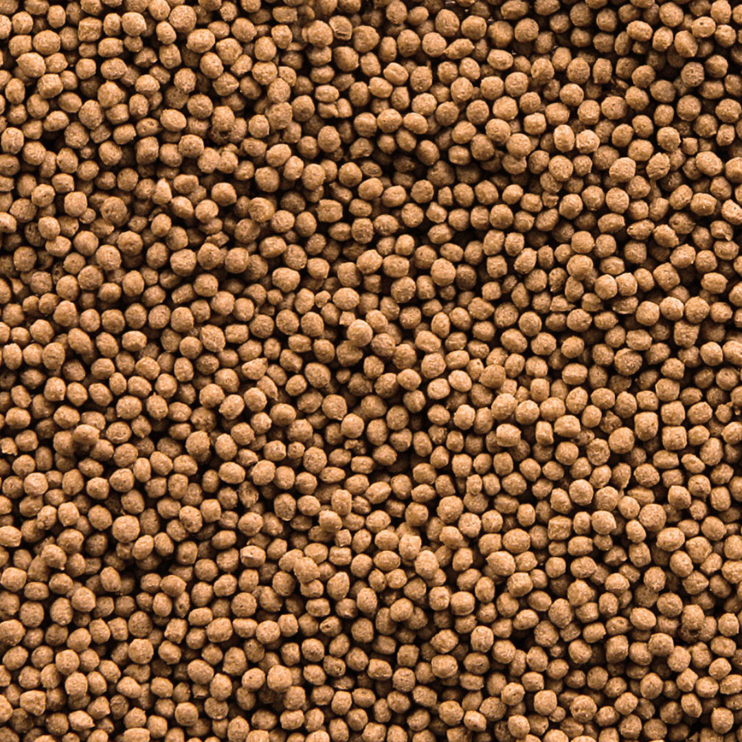 Sera Goldy Granules Nature Food for Larger Goldfish, 1000ml