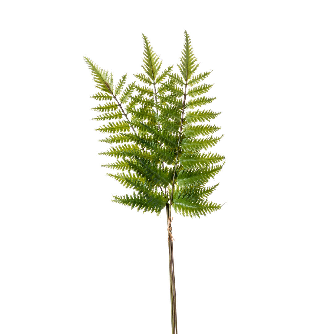 Fern Spray Green, 82cm