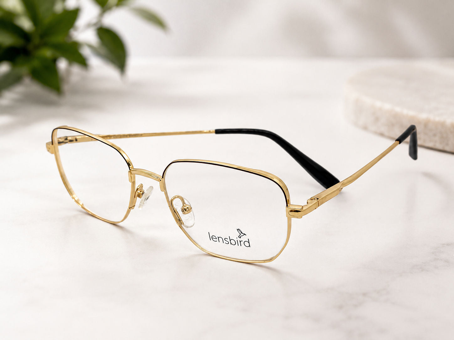 Lensbird Unisex Eyeglass, L11168C1