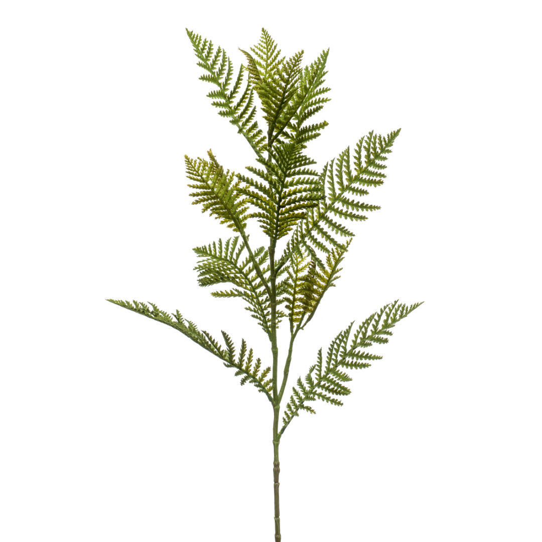 Fern Spray Green, 82cm