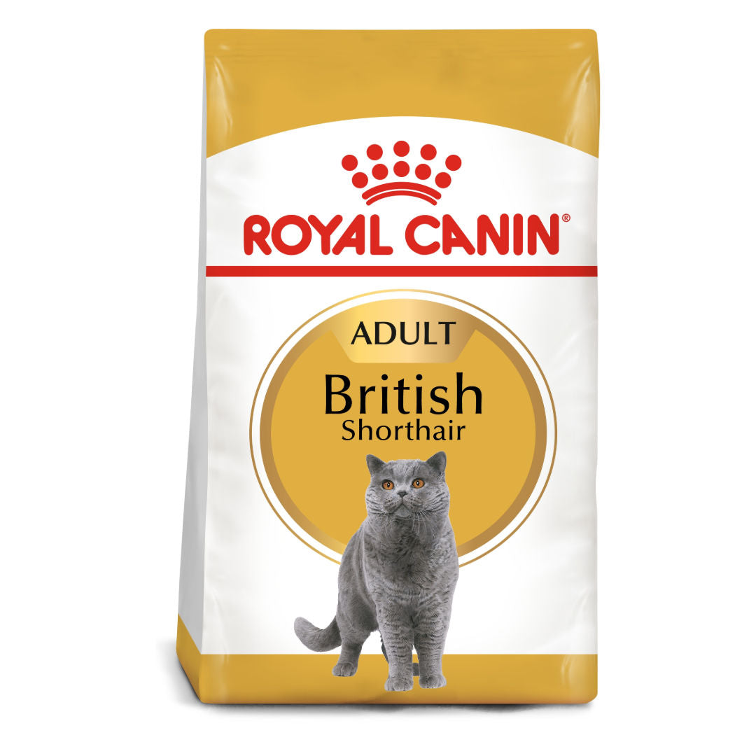 Royal Canin Feline Adult British Shorthair Dry Cat Food, 4kg
