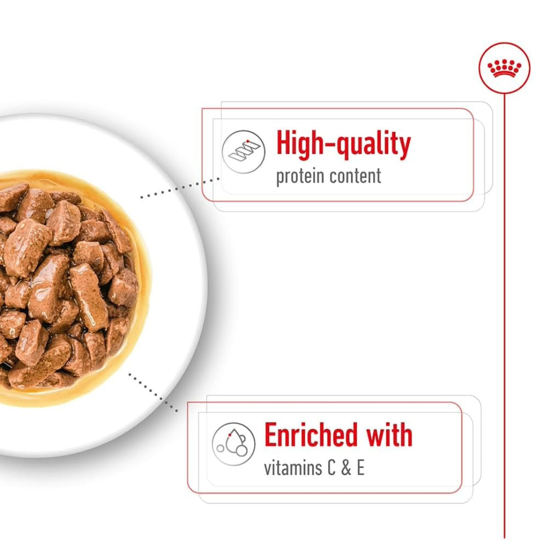 Royal Canin Medium Adult Wet Dog Food In Gravy, 140gm, Pack of 10