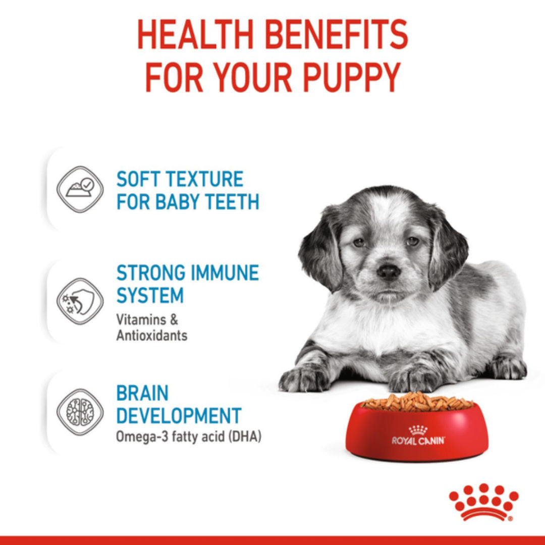 Royal Canin Medium Puppy Wet Dog Food In Gravy, 140gm, Pack of 10
