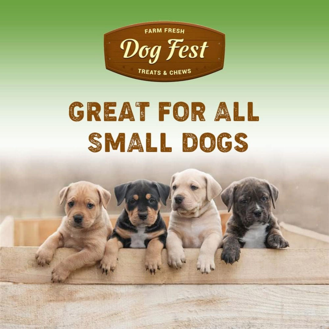 Dog Fest Duck Fillet Strips For Mini Dogs, 55gm