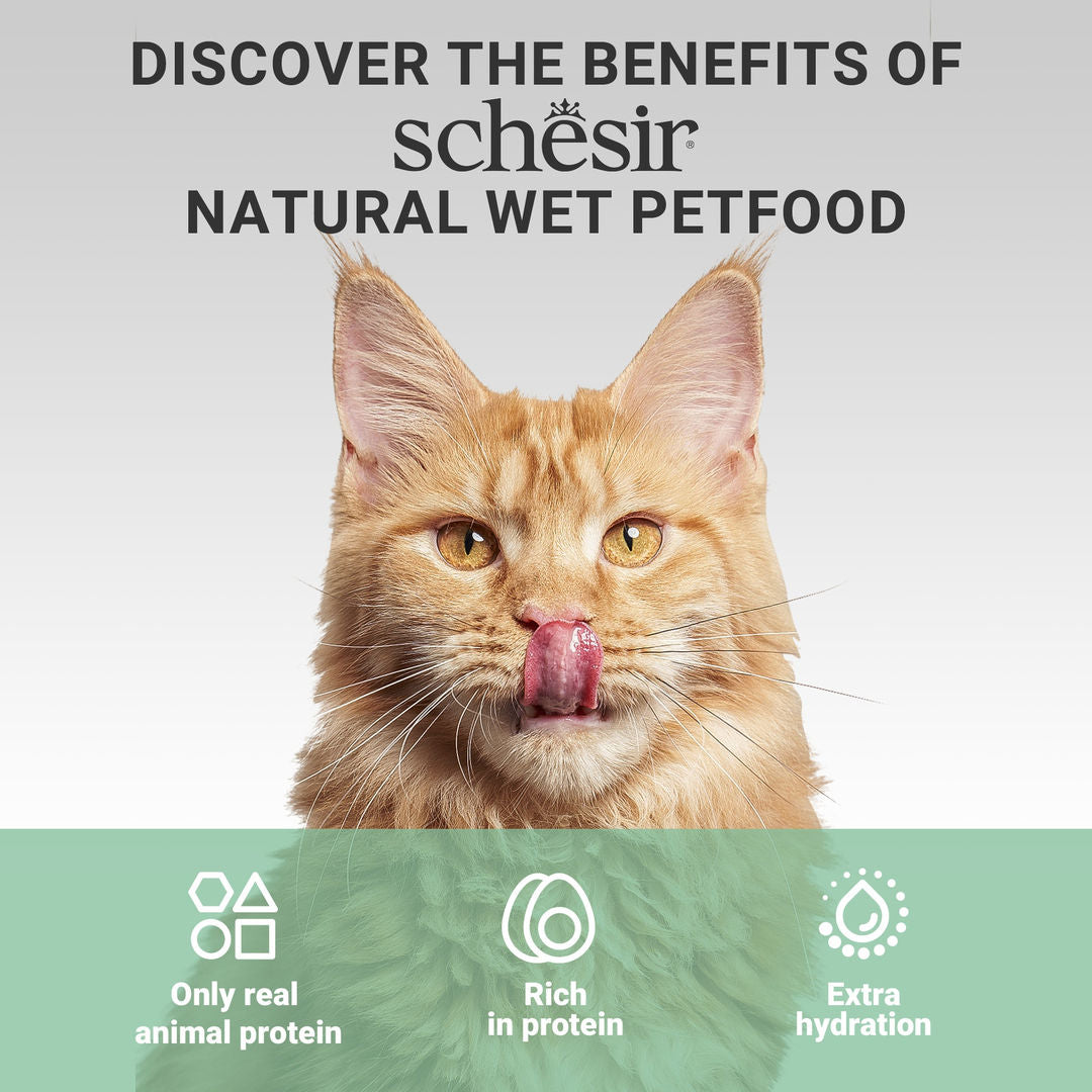 Schesir Complements Cat Wet Food in Broth, Chicken with Beef 70g