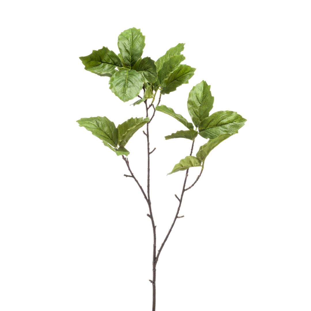 Green Chestnut Leaf Spray
