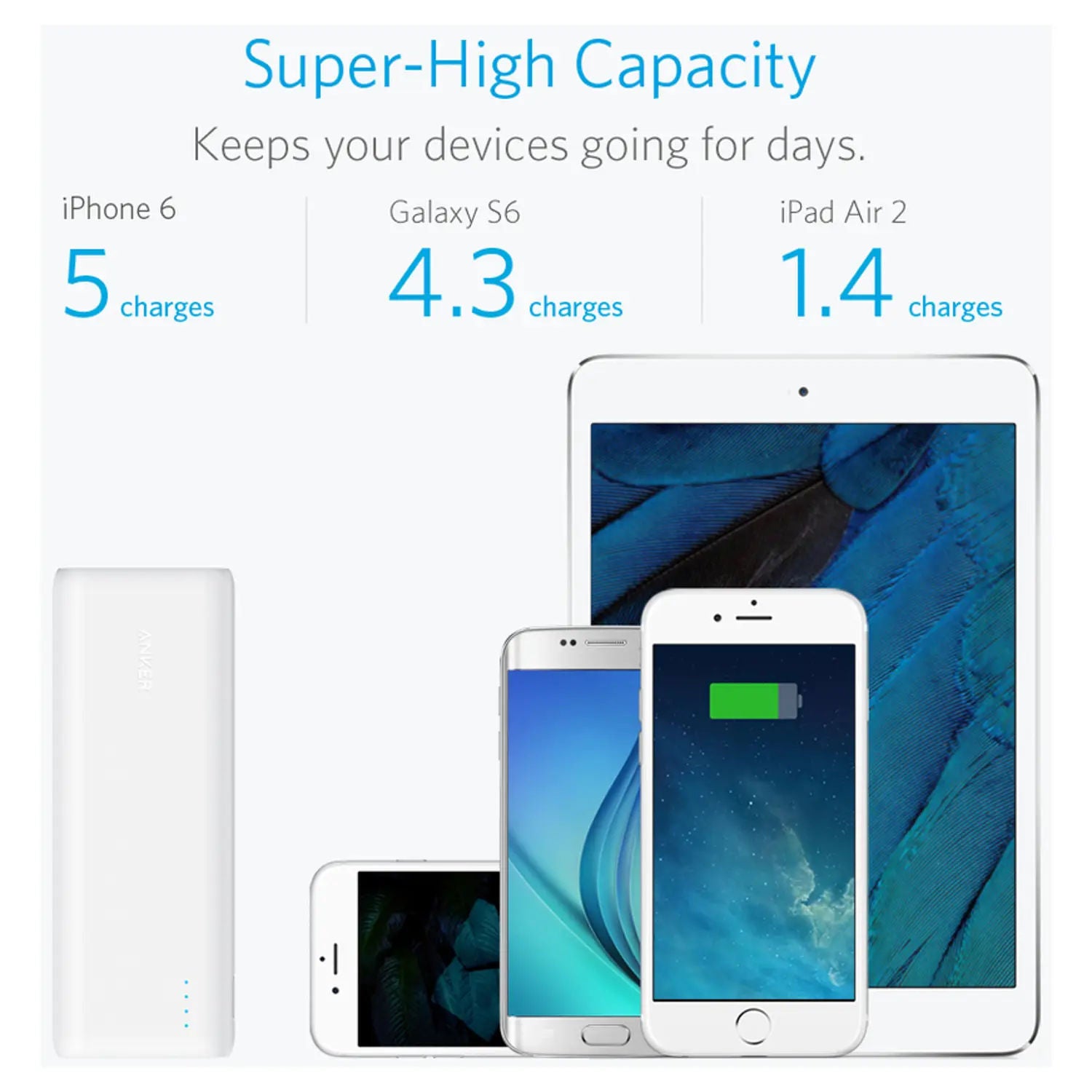 Anker PowerCore 15600mAh Power Bank with Dual USB Output, PowerIQ Fast Charging & 4.8A Output