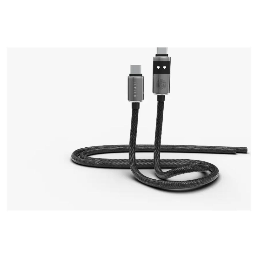 Levelo Auge Smart Charge & Sync Cable USB C To USB C, Gray