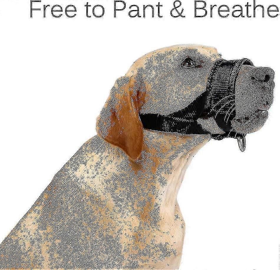 Nylon Soft Dog Muzzle, Anti-bit, Anti-bark, Anti-chew, Adjustable Ring (xl, Black) zxin