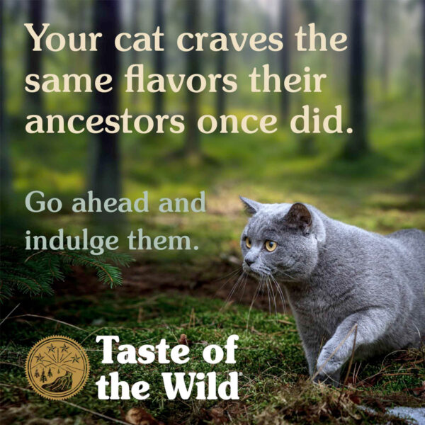 Taste of the Wild Rocky Mountain Feline Recipe 85gm