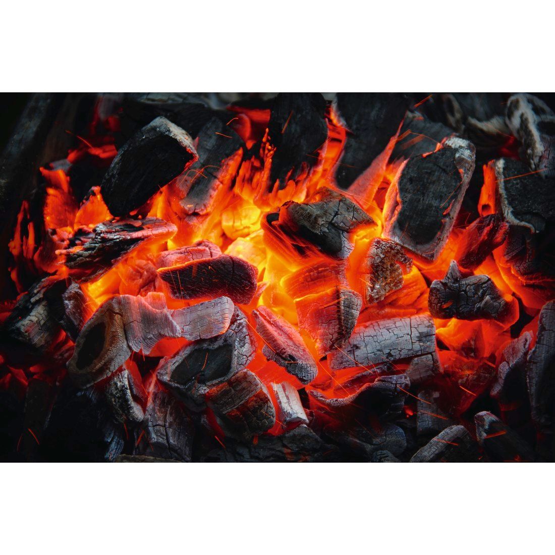 فرشاة تنظيف الشواية XAVAX 111499، 35.5 سم