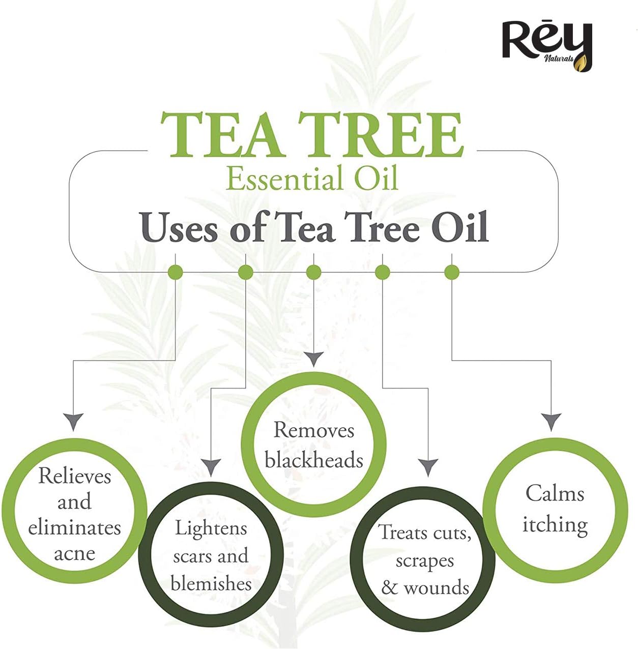 ReyNaturals Tea Tree Oil | Tea Tree Essential Oil for Hair, Skin and Face Care 15 ml Pack of 2