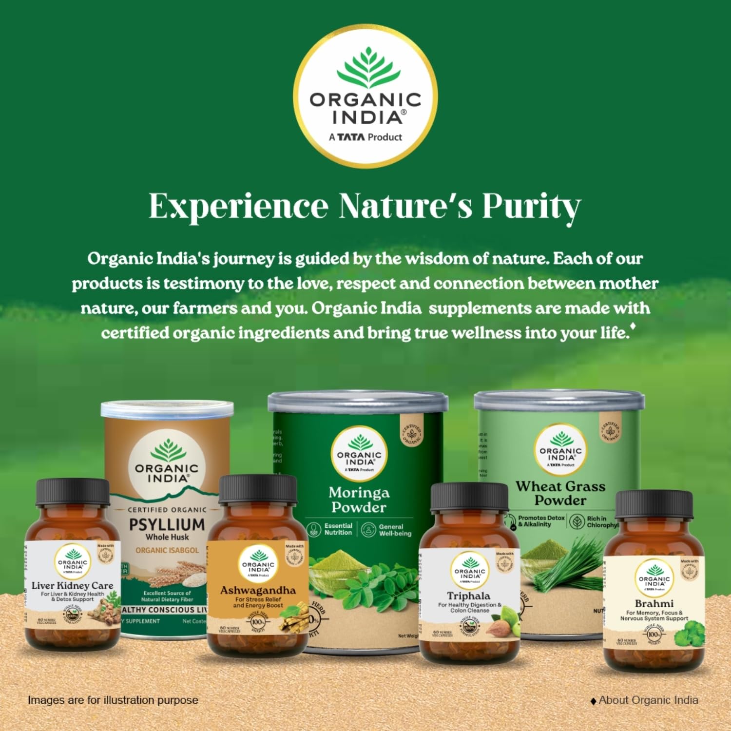 ORGANIC INDIA Moringa Powder Can 100g