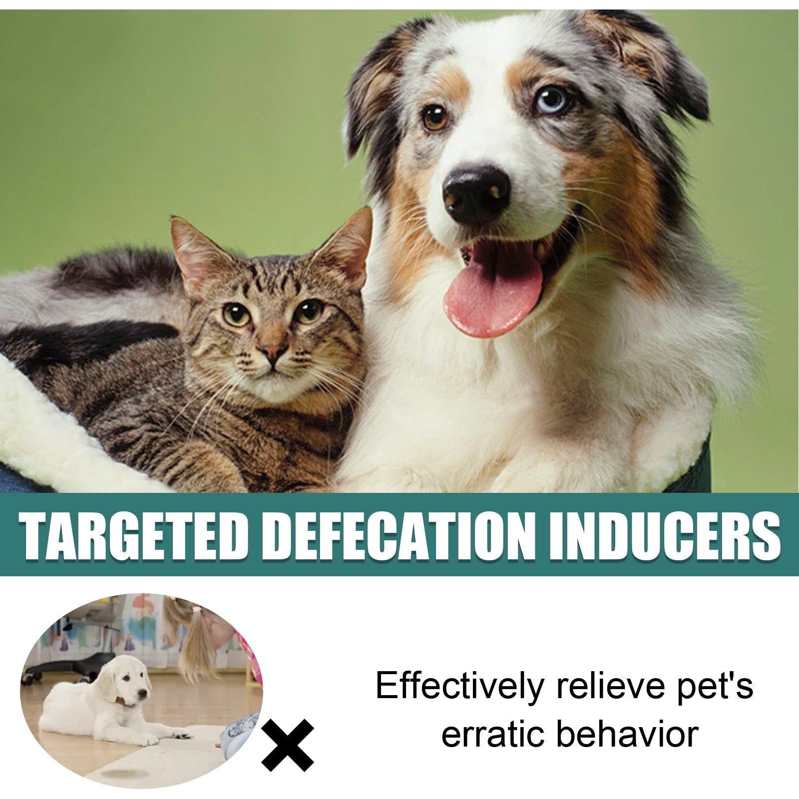 Pet Toilet Induction Spray, Potty Training Made Easy, Fast & Effective ,30ml