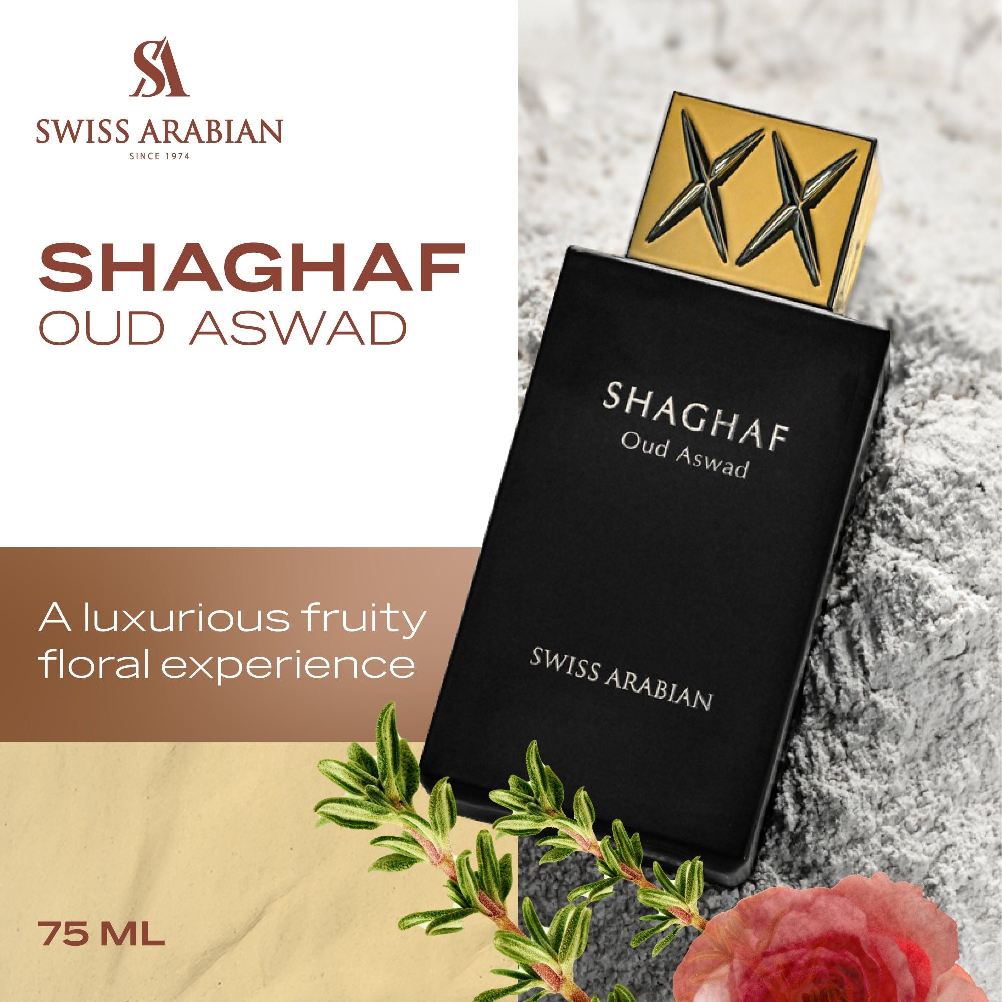 SHAGHAF OUD ASWAD