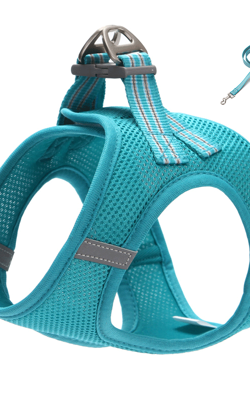 Dog Harness Adjustable Mesh Dog Vest Harness With Leash Set Pet Leash For Small Pets