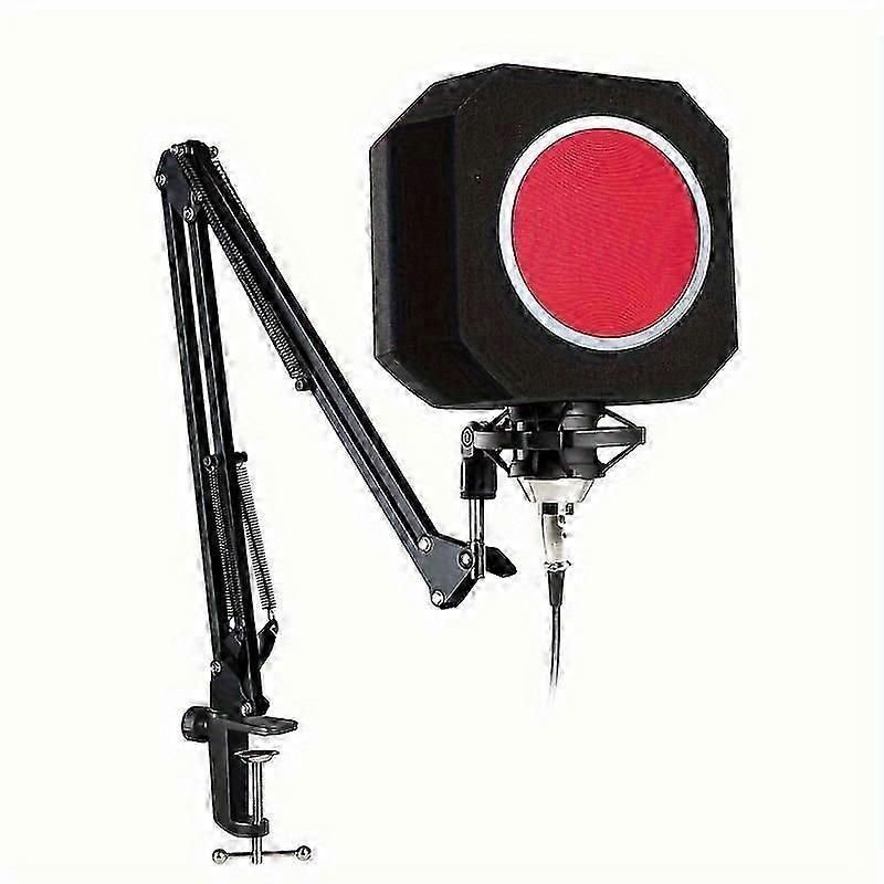 Studio Microphone Sound Shield With Foam Cover and Filter Ball