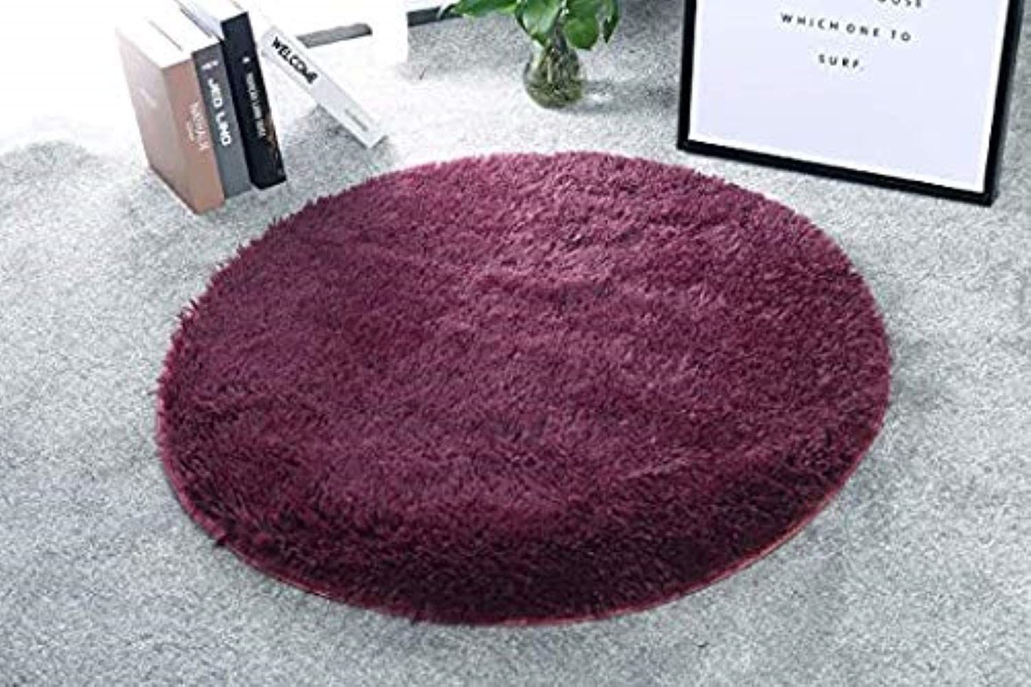 AIESY®  Anti-Skid Soft Touch Micro-Poly Shaggy Door Mat for Home