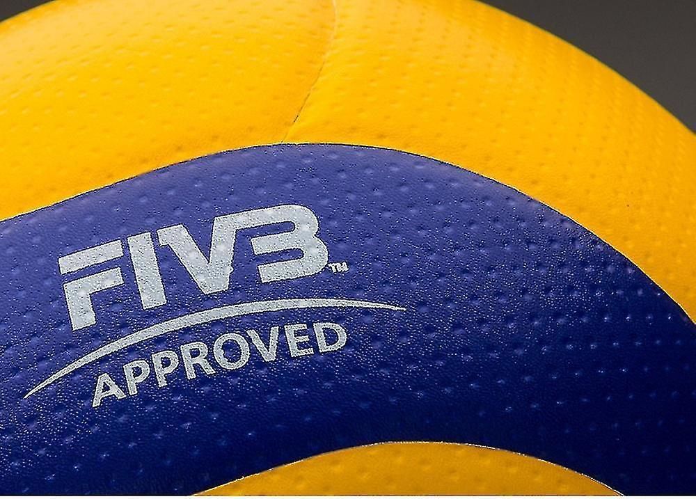 Volleyball V200w Game, Professional Game Volleyball 5