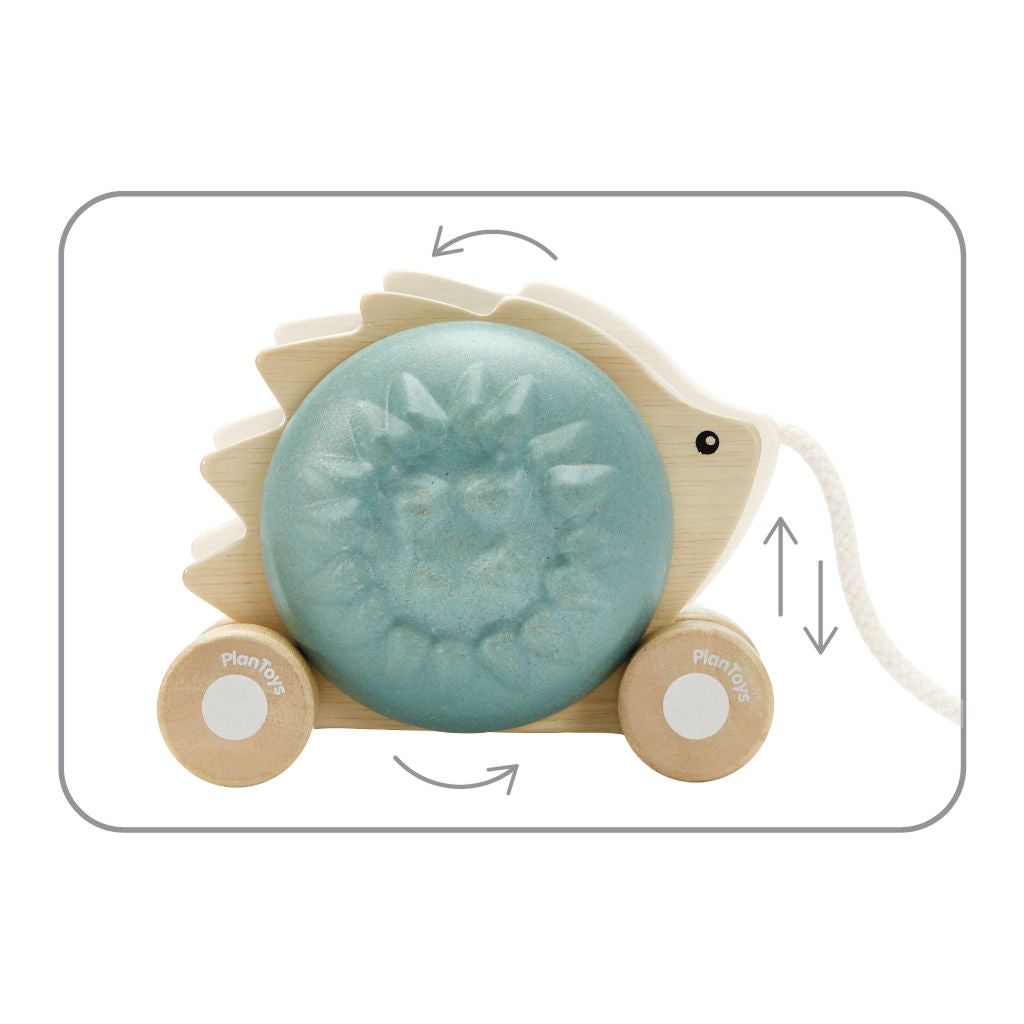PlanToys Pull - Along Hedgehog - Blue