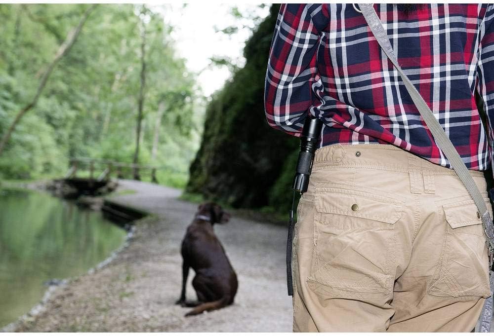 مصباح جيب LED Brennenstuhl 1178603160 TL 250F LuxPremium، معدني، أسود