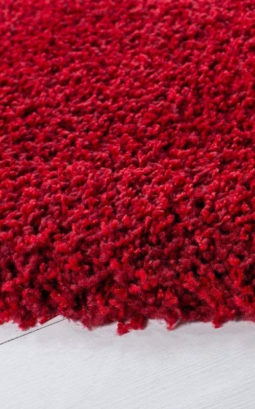AIESY® Micro-Poly Shaggy Soft Touch Anti-Skid Door Mat for Home