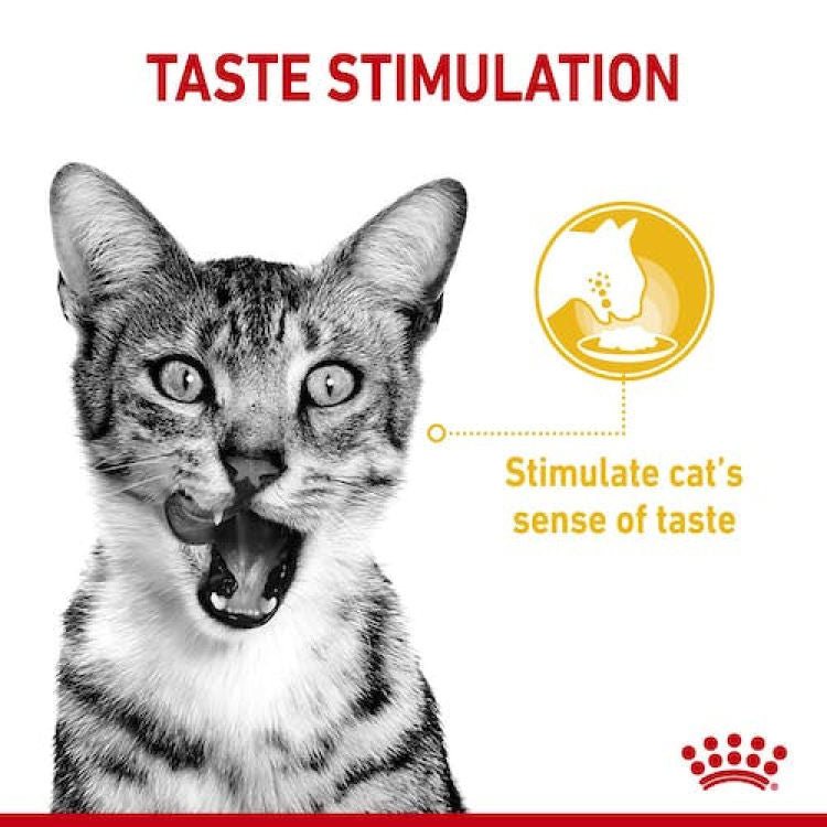 Feline Health Nutrition Sensory Taste Gravy (WET FOOD - POUCHES) 12x85G