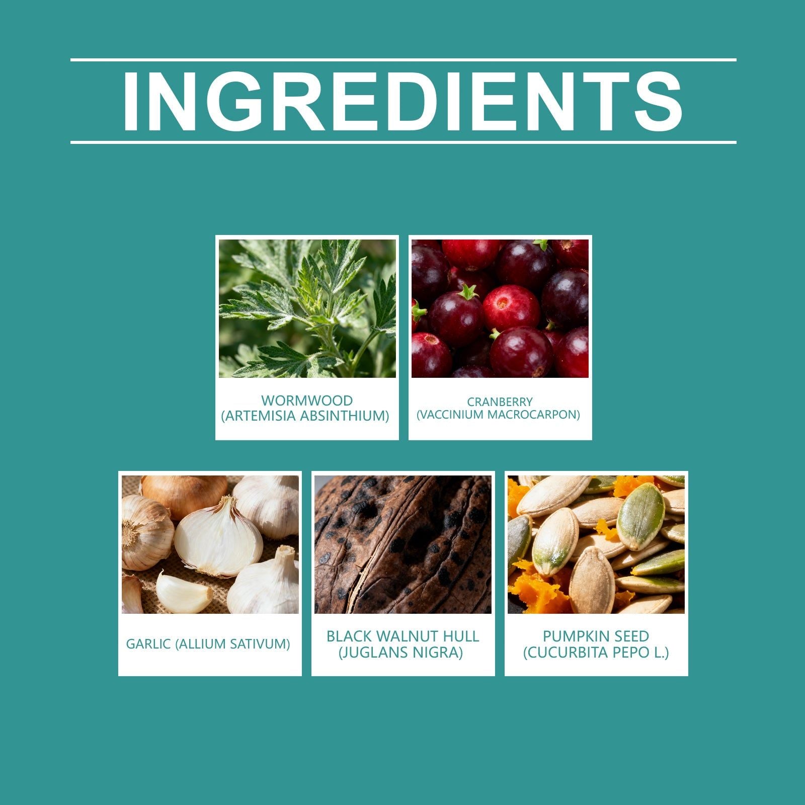 Boost Your Body Care, Daily Intestinal Support Capsules with Natural Ingredients ,60 capsules